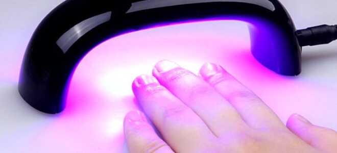 Какую лампу купить для шеллака: виды ламп и особенности