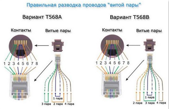 Разводка витой пары Разводка проводов витой пары