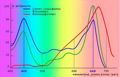 цвет подсетвки растений